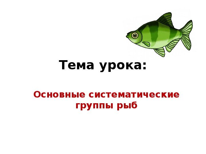 Основные систематические группы рыб 7 класс таблица