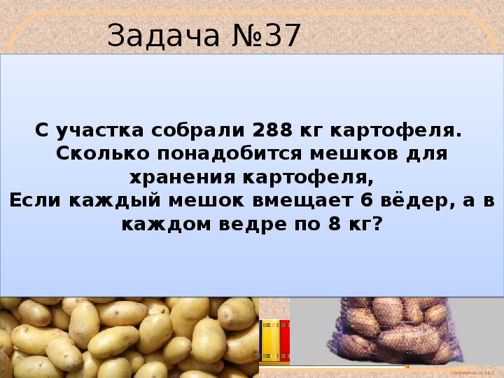 В трех овощных магазинах завезли 1600 кг картофеля
