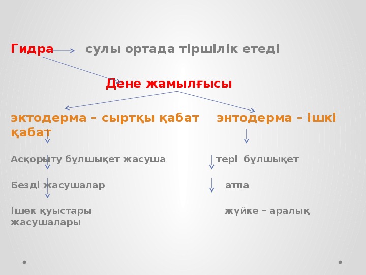 Жануарлардағы онтогенездің тура және жанама типтері презентация