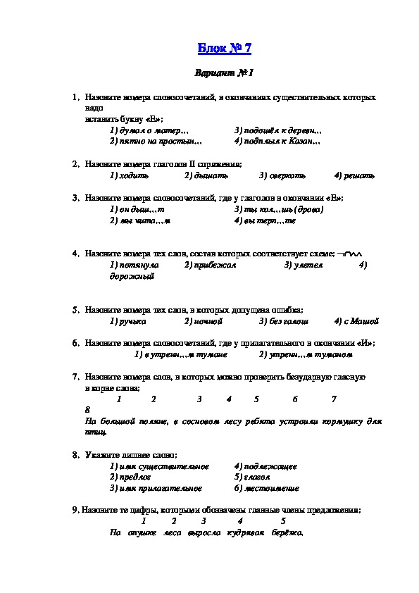 Контроль знаний по русскому языку