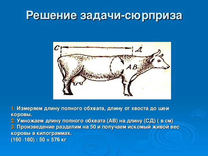 Индивидуальная карта коровы