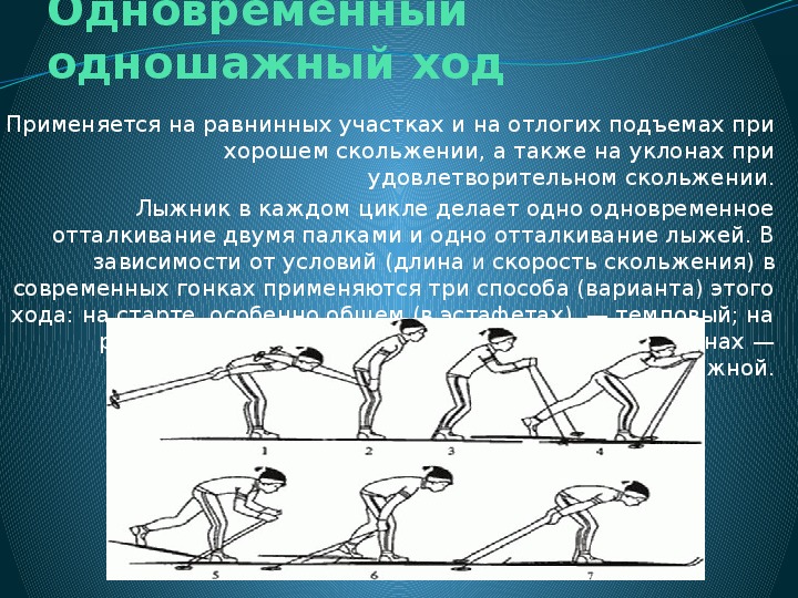 Презентация по физической культуре "Лыжные ходы"