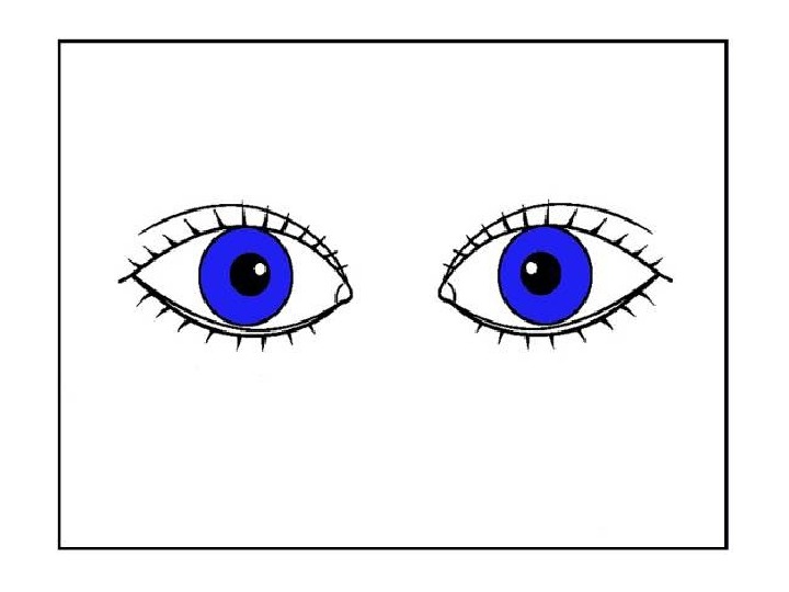 Глазки 1 часть. Части тела глаза. Глаза ребенка. Части тела глаза для детей. Глаз схематично.