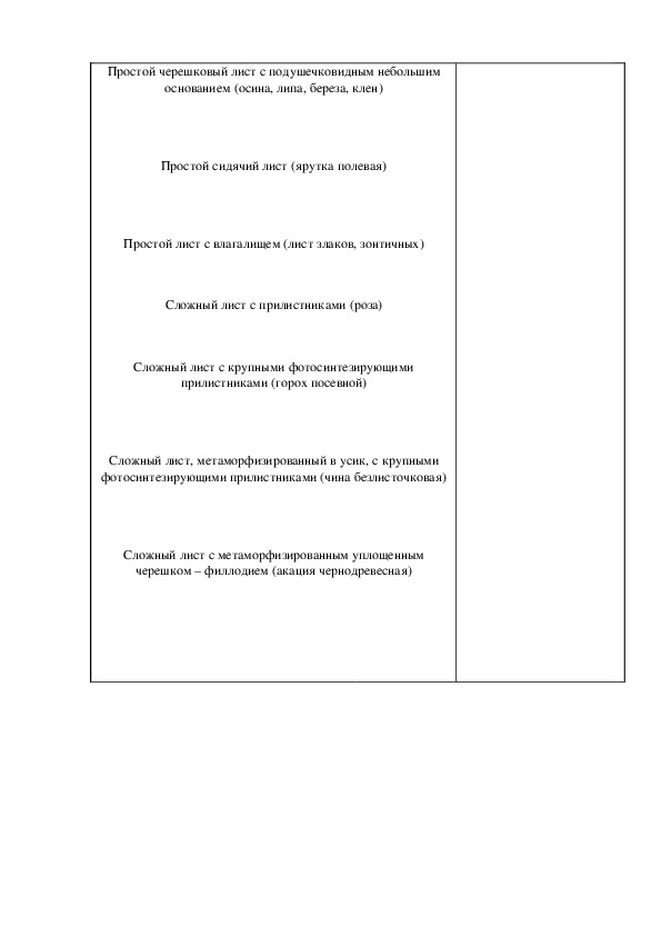 Контрольная работа по теме Типы ветвления побегов