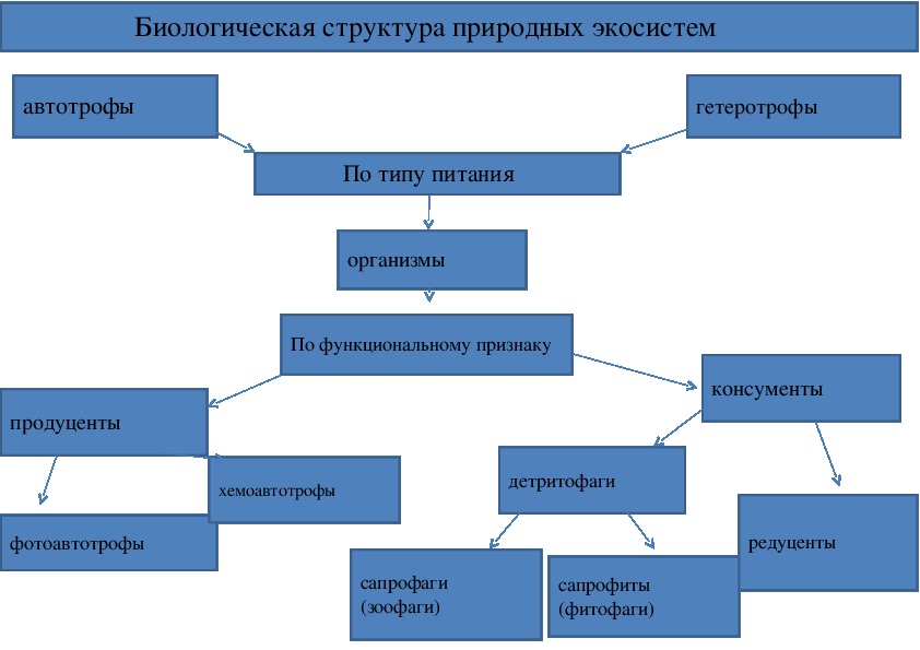 Естественная структура