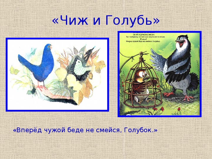 Чиж и голубь иллюстрация. Чиж и голубь басня. Автор басни Чиж и голубь.