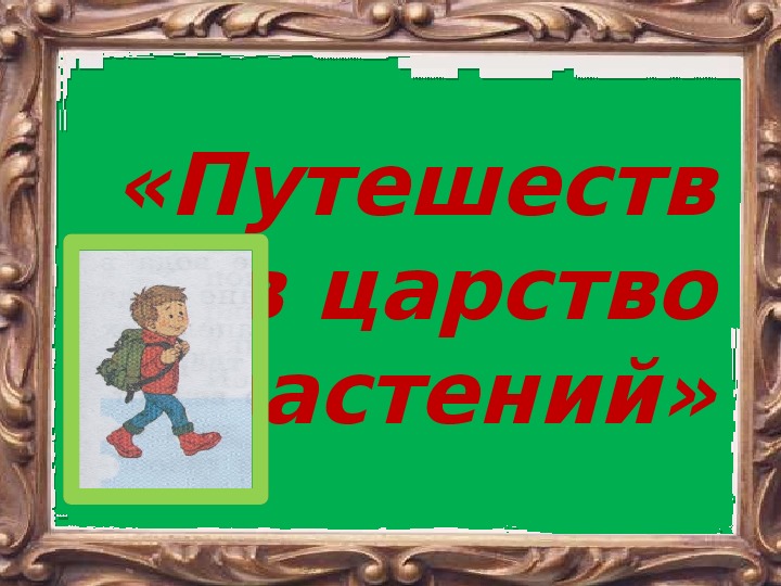 Урок-путешествие по природоведению в 5 классе в специальной( коррекционной ) школе 8 вида