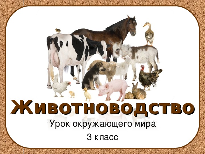 Тест на тему животноводство 3 класс окружающий