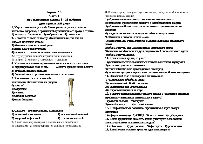 Диагностическая работа по биологии за курс 8 класса в форме и по материалам ОГЭ. Вариант 13.