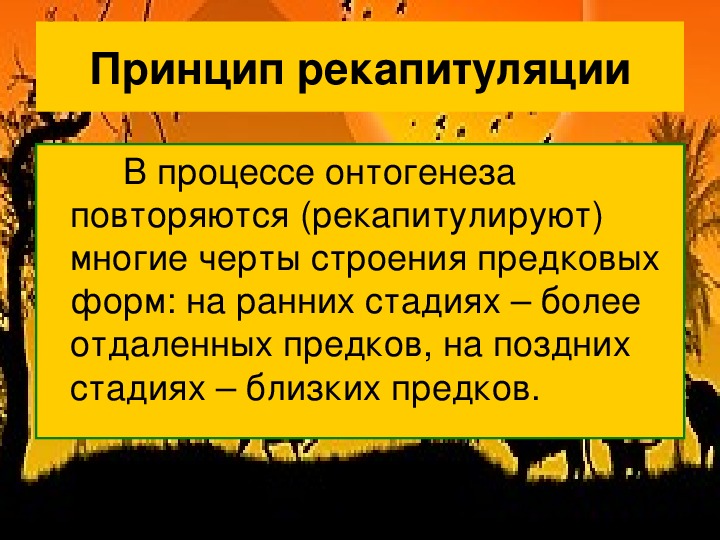 Презентация доказательства эволюции животных 7 класс латюшин