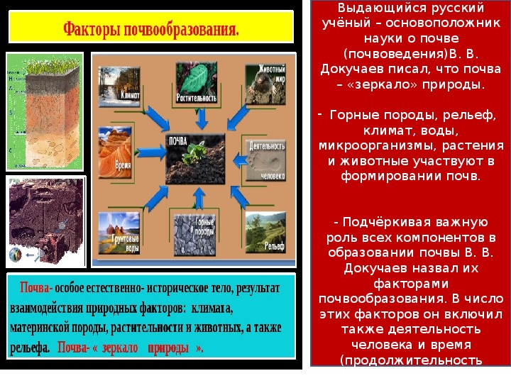 Почва зеркало ландшафта презентация