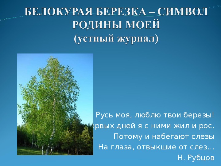 Символ родины. Береза символ Родины. Береза символ Родины моей. Символы моей Родины. Березка символ Родины.