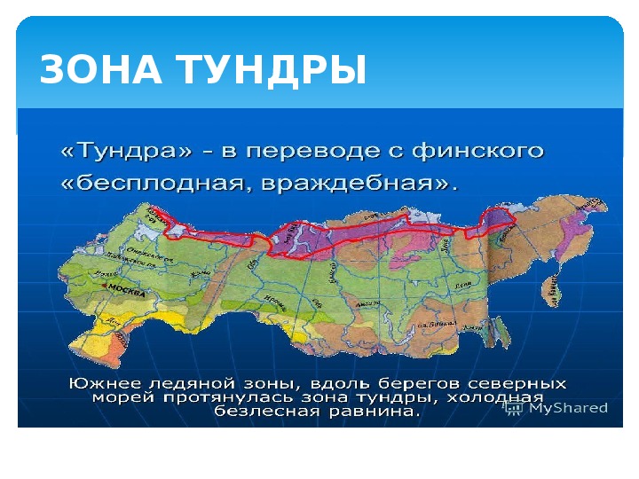 С какими природными зонами граничит тундра. Тундра на карте. Тундра на карте России. Зона тундры на карте. Зона тундры в России.