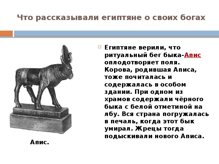 Апис бог чего. Бог АПИС Бог чего. Религия древнего Египта священный бык АПИС. Бог АПИС В древнем Египте Бог чего. Что рассказывали египтяне о своих богах.