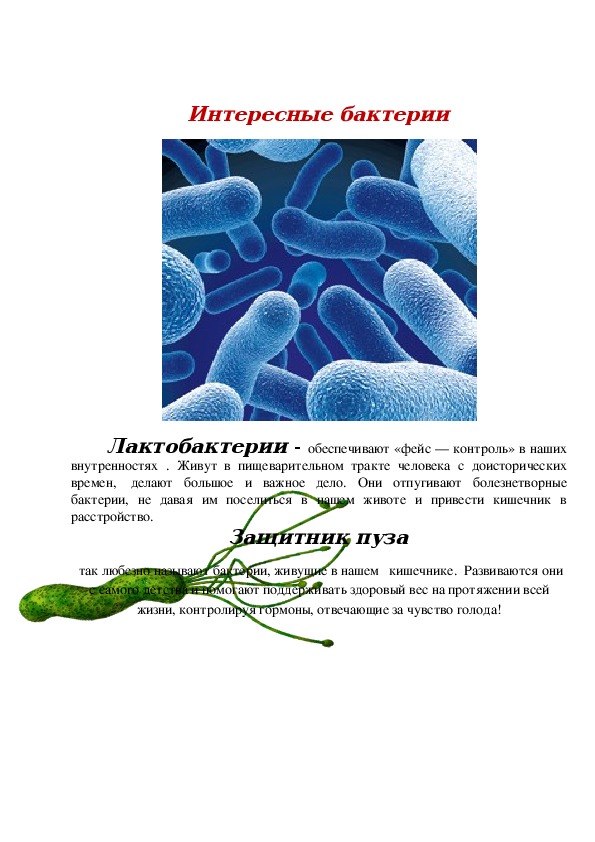 Проект-исследование "Ох уж эти бактерии" (3 класс, проектно-исследовательская деятельность)