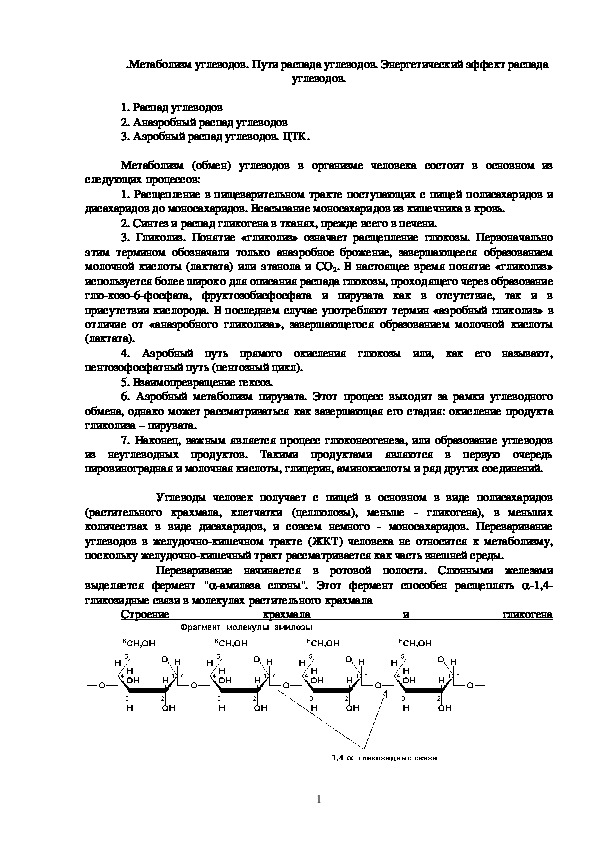 Метаболизм углеводов. Пути распада углеводов. Энергетический эффект распада углеводов.