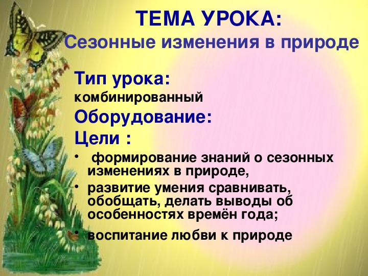 Годовой исследовательский проект сезонных изменений часть 4 здравствуй лето