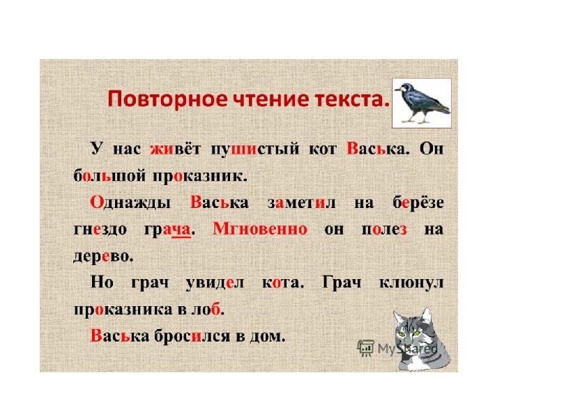 Про 2 слов. Текст для чтения. Тексты для чтения 1 класс. Читать текст. У нас живет пушистый кот Васька он большой проказник.