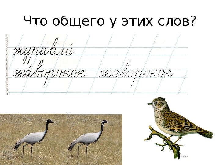 Листы сколько букв. Буква ж 1 класс школа России презентация. Рабочий лист буква ж.