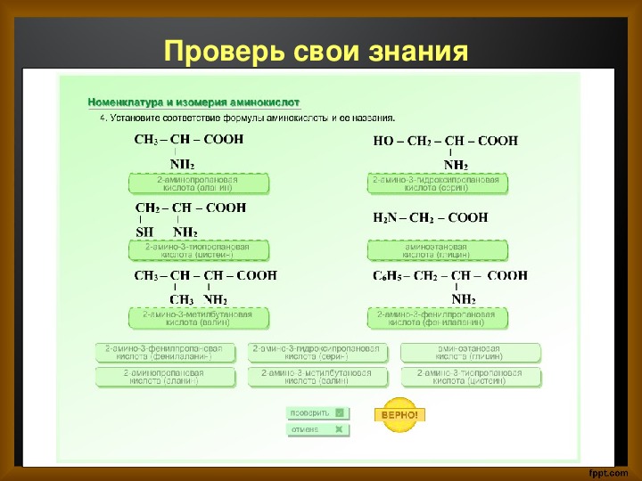 Амины и аминокислоты презентация 10 класс