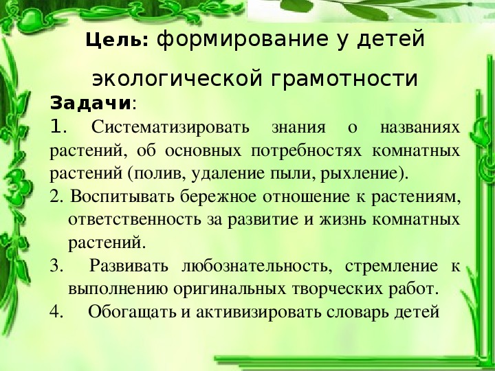 Экологически грамотный потребитель презентация