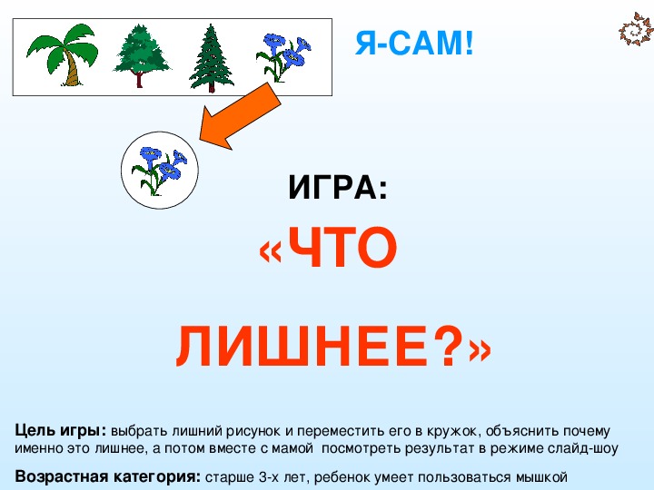 Что лишнее?- игра. Презентация учебная для детей ДОУ.