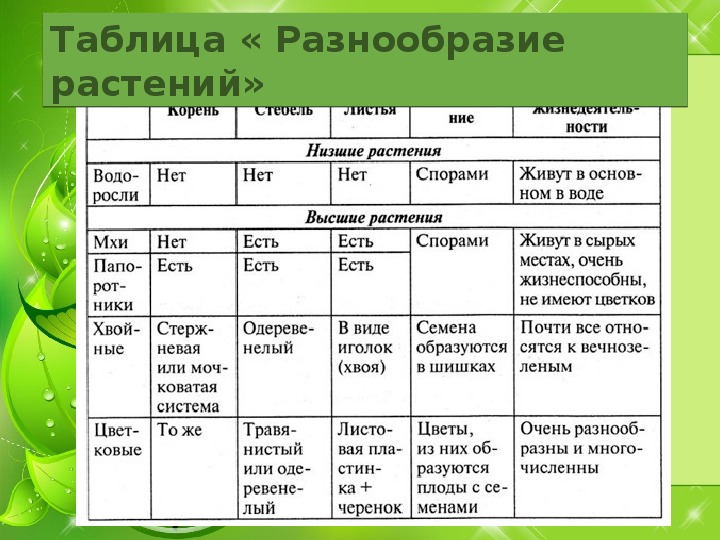 Многообразие растений 7 класс. Окружающий мир 3 класс таблица растений. Таблица по разнообразию растений 3 класс. Разнообразие растений 3 класс. Характеристика отделов растений.