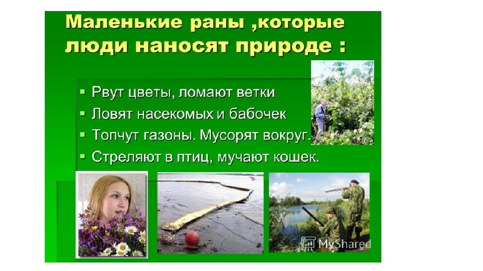 Мини проект природа и человек