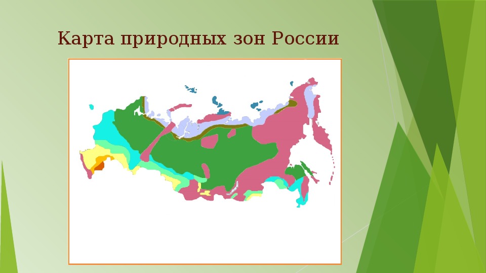 Что такое карта природных зон