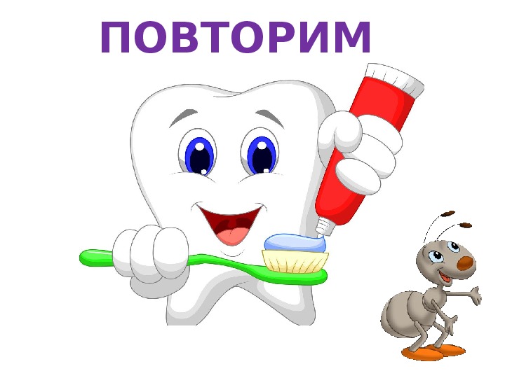 Презентация по окружающему миру 