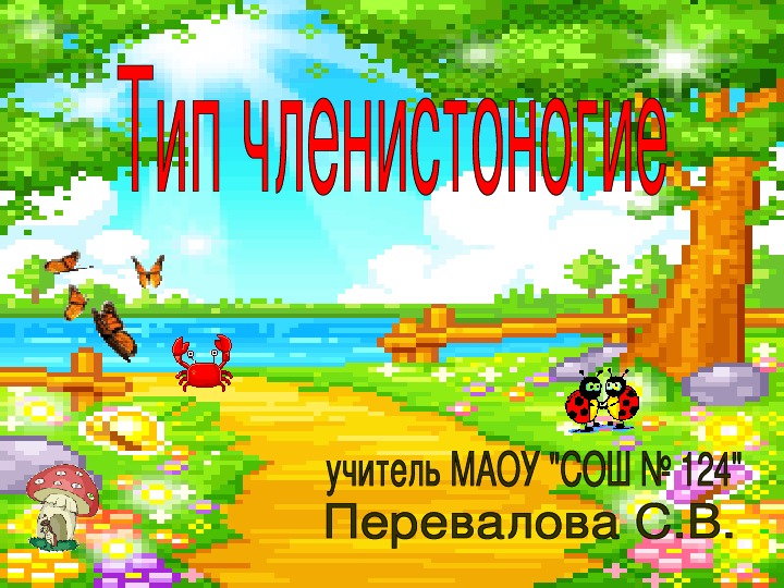 Презентация "Членистоногие" 7 класс
