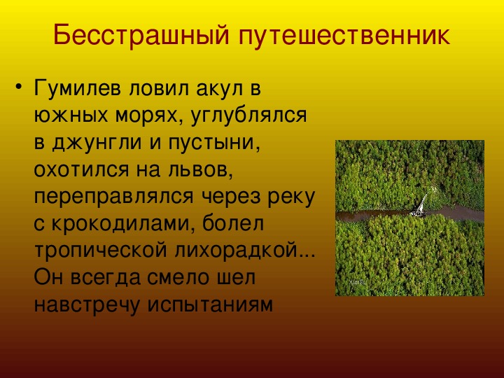 Презентация 11класс. Прекрасный и загадочный поэт Николай Гумилев