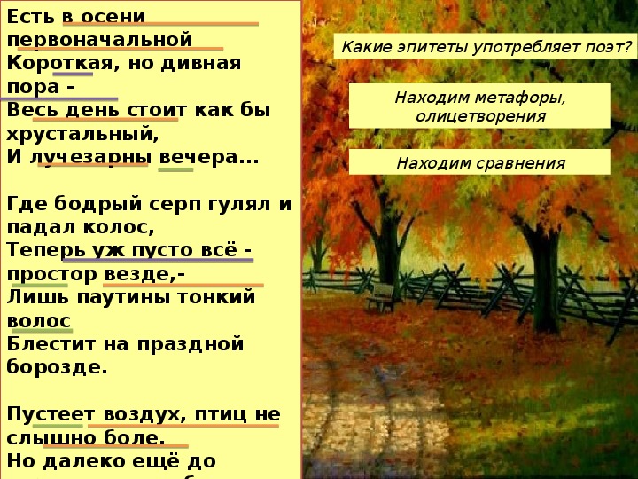 Какой художественный прием является главным в изображении природы в творчестве ф и тютчева