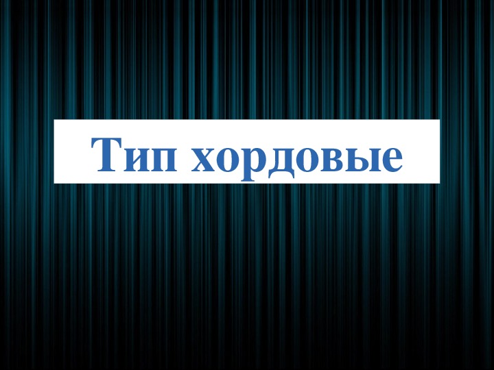 Презентация по биологии "Хордовые. Бесчерепные" (7 класс)