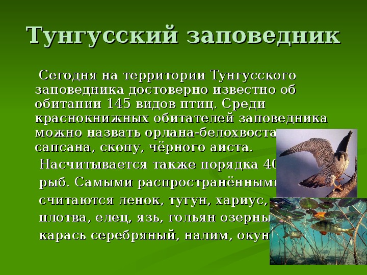 Презентация о заповеднике россии 5 класс