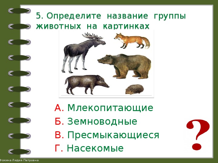 Презентация какие бывают животные презентация 2 класс