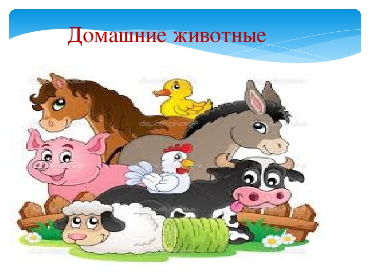 Презентация "Домашние животные"
