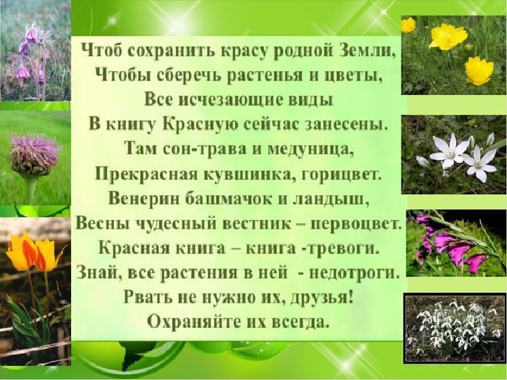 Красная книга донбасса животные и растения описание и фото