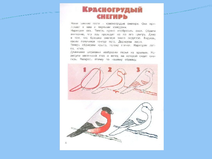 Рисование птицы 1 класс презентация. Нарисовать птицу и составить рассказ. Презентация рисуем поэтапно сказки 2 класс. Рисуем птицу поэтапно презентация 2 класс