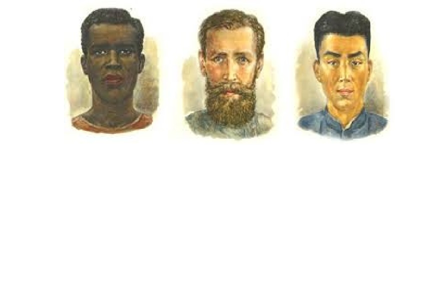 6 человеческие расы