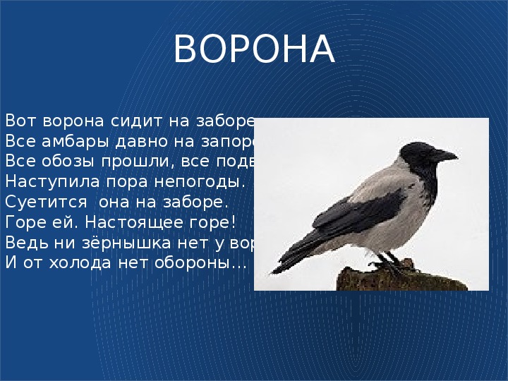 Черная ворона стихи