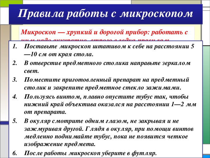 Как пользоваться микроскопом 5 класс