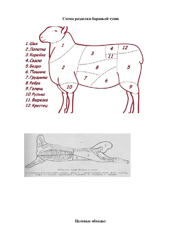 Схема разделки бараньей туши с названиями частей