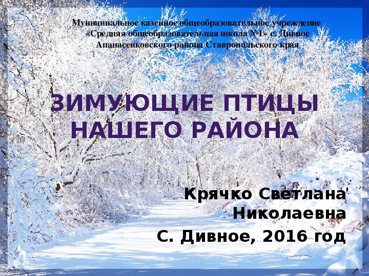 Презентация для начальной школы "Зимующие птицы нашего района"