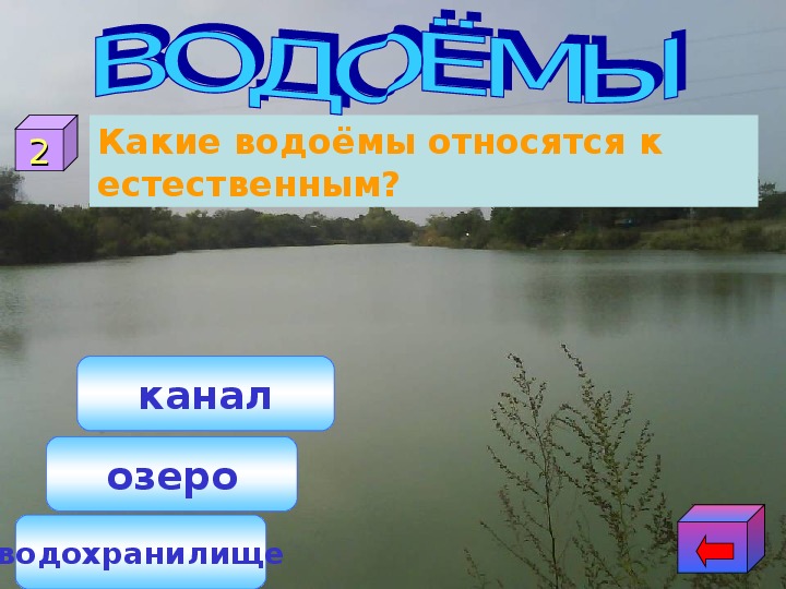 Что относится к водоемам