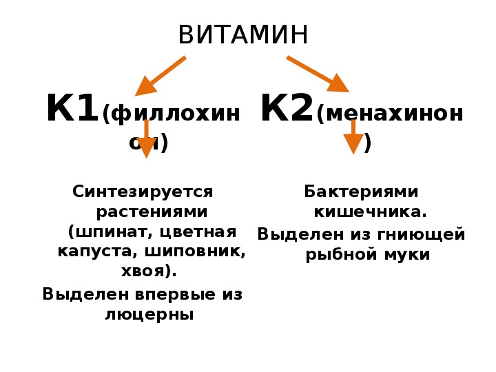 Витамин к2 для чего нужен организму