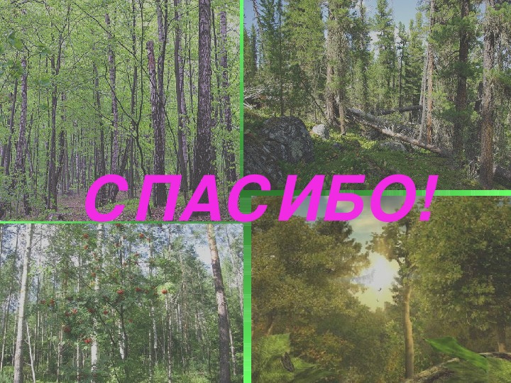 Леса россии тест 4 класс окружающий мир