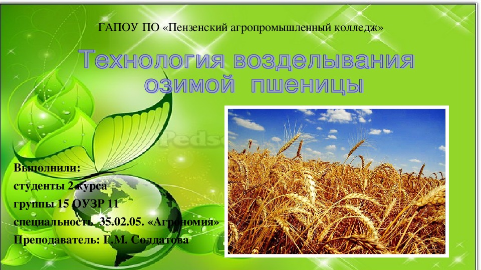 Презентация на тему: "Технология воделывания озимой пшеницы"