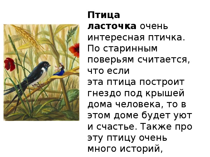Сказка про птицу человека
