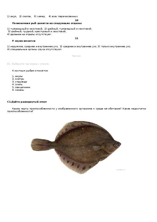 Тест по теме рыбы биология 7 класс